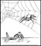 Well I used to be a funnel web spider, but then I realised to suceed in the 90's I had to be on the web.